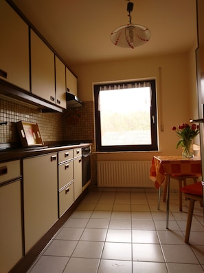 Fridge, microwave, oven, coffee/tea maker - Apartment Hartmann - Apartment I.0 (Edertal)