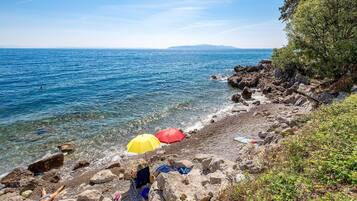 Playa en los alrededores y pesca