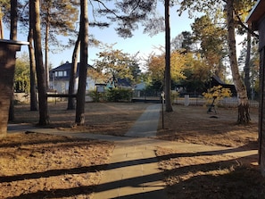 A residential area with a paved walkway, tall trees, and houses in the background.