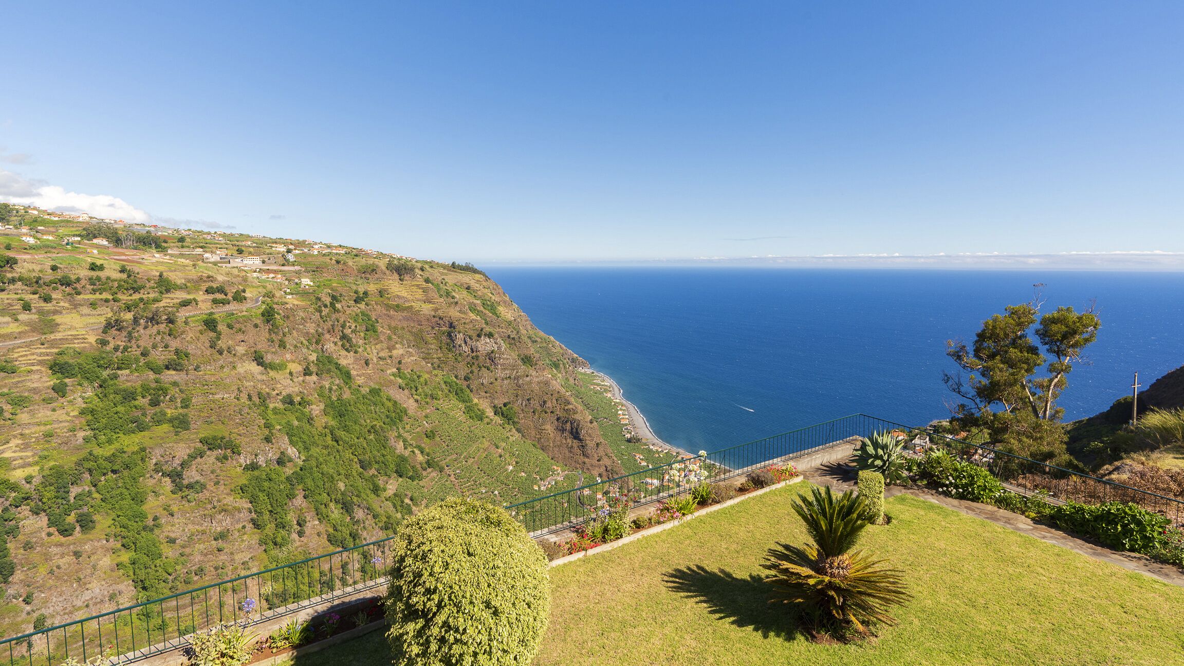 A coastal landscape with a grassy area, a palm tree, and a view of the sea.