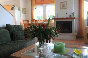 TV, fireplace, DVD player, books