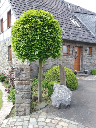 Holiday home Siebenstein near the Rursees and the beach Eschauel