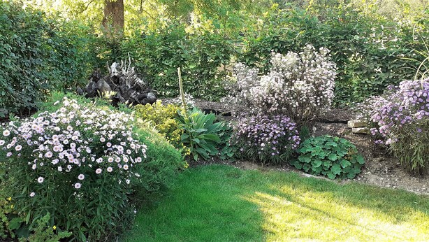 Un jardin agrémenté de diverses plantes à fleurs et doté d’une pelouse bien entretenue.