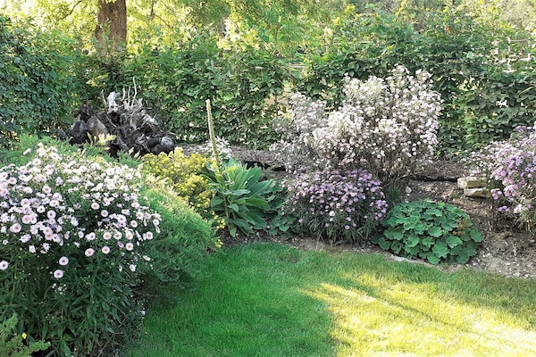 Garten im Spätsommer