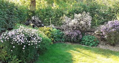 Holiday apartment in a quiet location on the edge of town, Saarland Card host