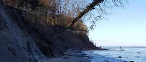 بالقرب من الشاطئ