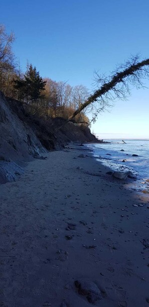 Une plage bordée d’une côte rocheuse, avec une végétation clairsemée et un ciel dégagé.