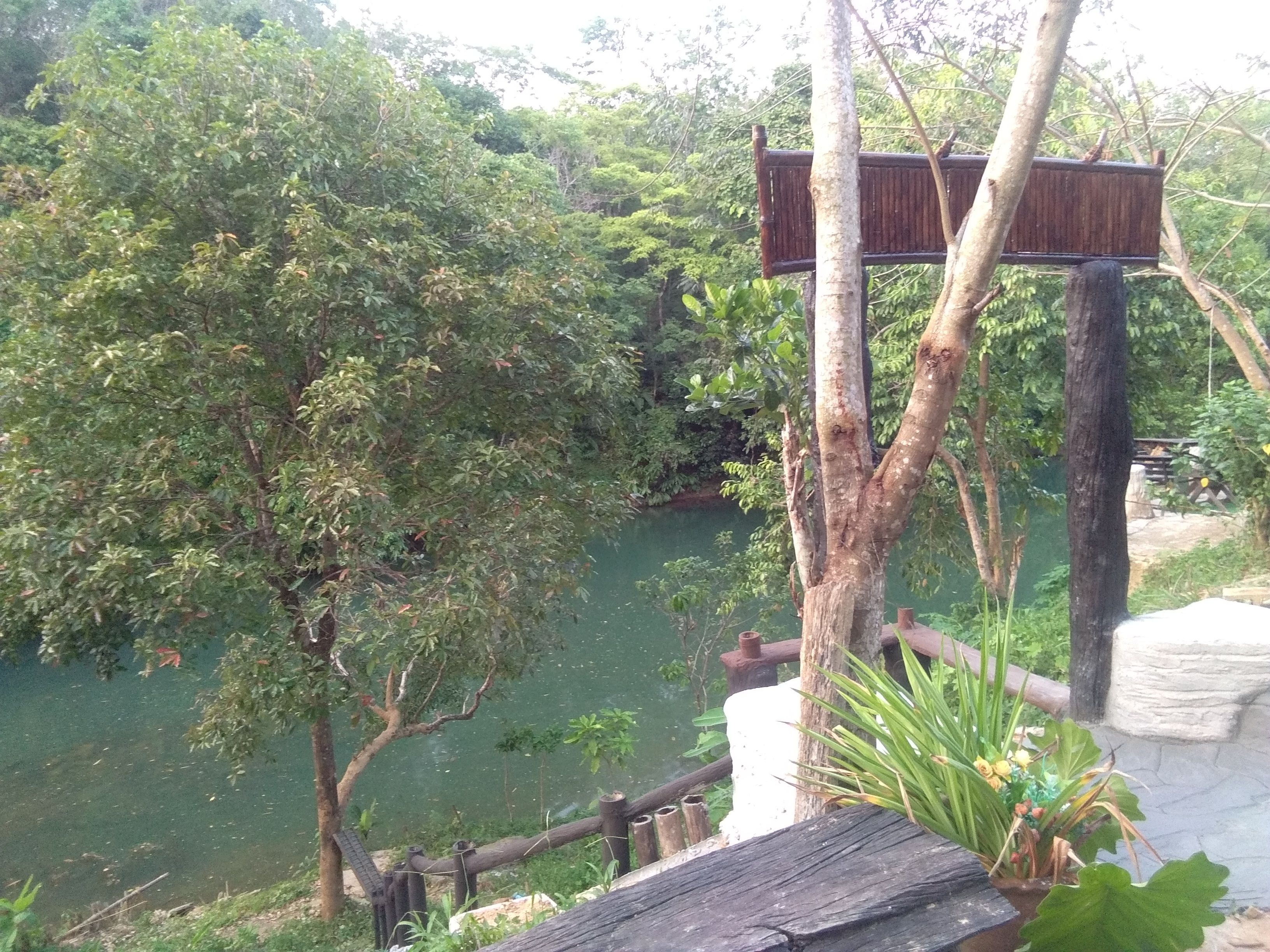 A wooden bench overlooking a body of water, surrounded by lush greenery and trees.