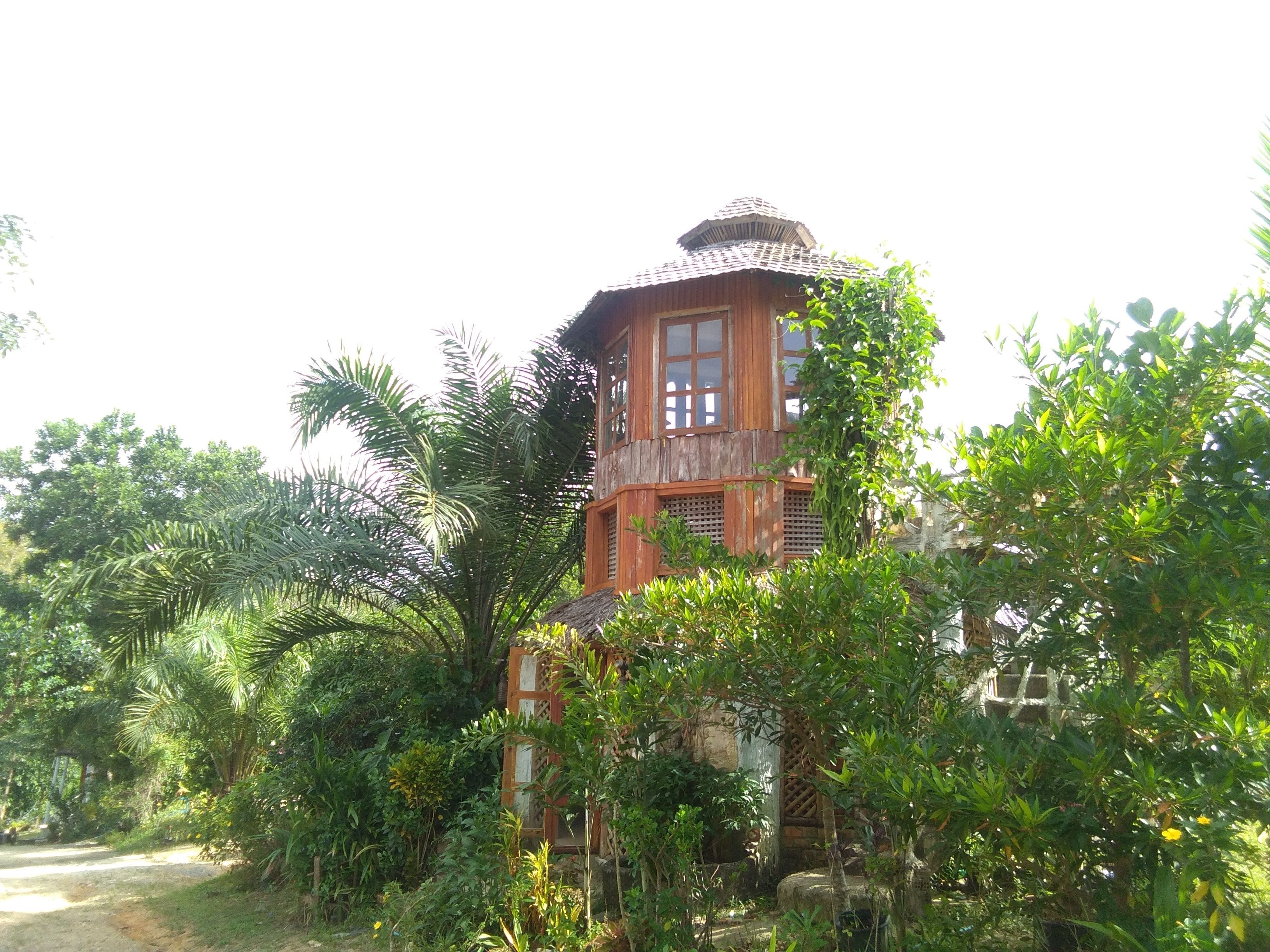 A rustic wooden building with a thatched roof, surrounded by lush greenery and a dirt path.