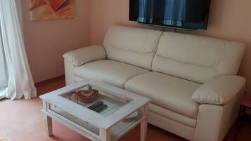 Smart TV, fireplace, DVD player, books