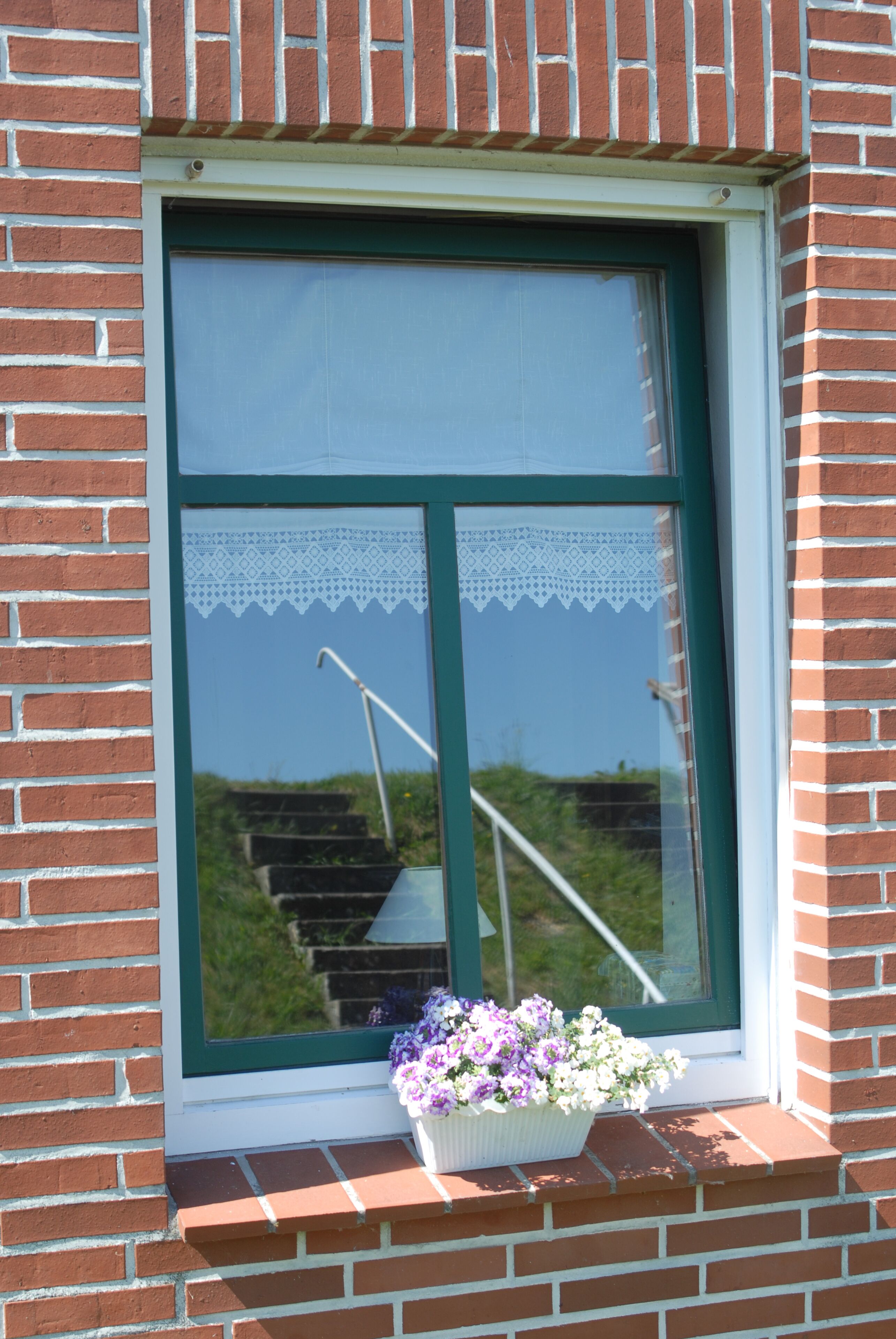 Ein Fenster mit weißem Rahmen und einem Spitzendeckengardine, das eine Treppe und Grünflächen im Freien spiegelt.