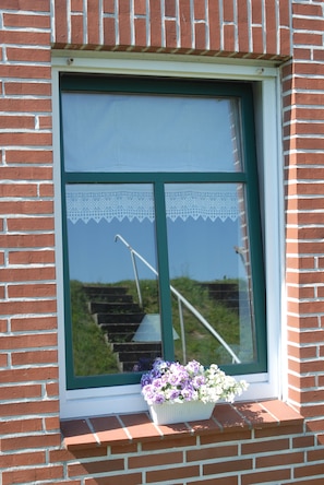 Een raam met een witte lijst en een kantgordijn, waarin een trap en groen buiten te zien is.