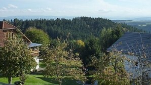 Un barrio residencial con una casa, un panel solar y un bosque denso al fondo.
