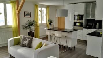 Een televisie, een open haard, een dvd-speler en een filmbibliotheek