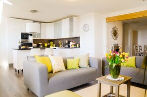 Televisio, takka, DVD-soitin, videokirjasto