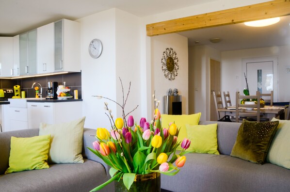 Televisio, takka, DVD-soitin, videokirjasto