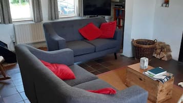 TV, fireplace, DVD player, books