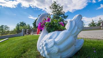 Terrein van de accommodatie