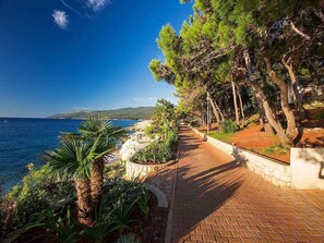 Un sentier pavé longe une zone côtière bordée d’arbres et offre une vue sur la mer.