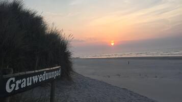 In StrandnĂ€he, LiegestĂŒhle