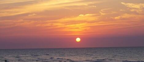 Playa en los alrededores y camastros 