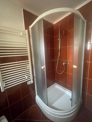 Regadera, secadora de cabello, bidet, toallas 