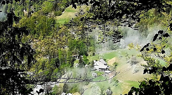 Een huis verscholen in een groene vallei, omringd door dichte bomen.