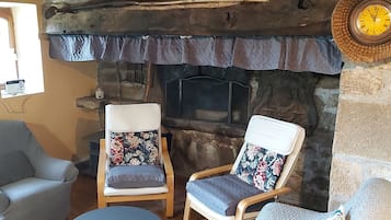 Televisión y chimenea