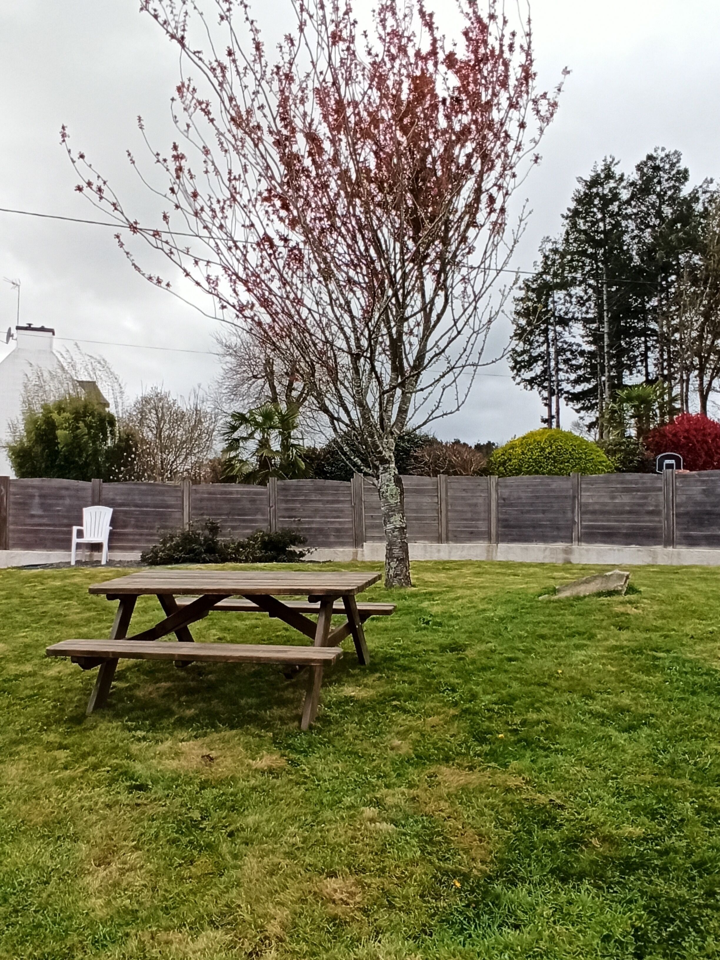A backyard with a wooden picnic table, a small tree, and a white chair.