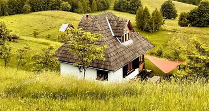 Fascinating holiday home in the middle of the Maramureş mountains