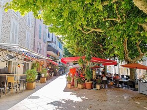 Outdoor dining - Peaceful paradise - absolute charm! (Bagnols-En-Forêt)
