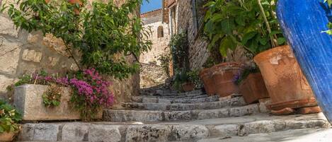 Terrein van de accommodatie