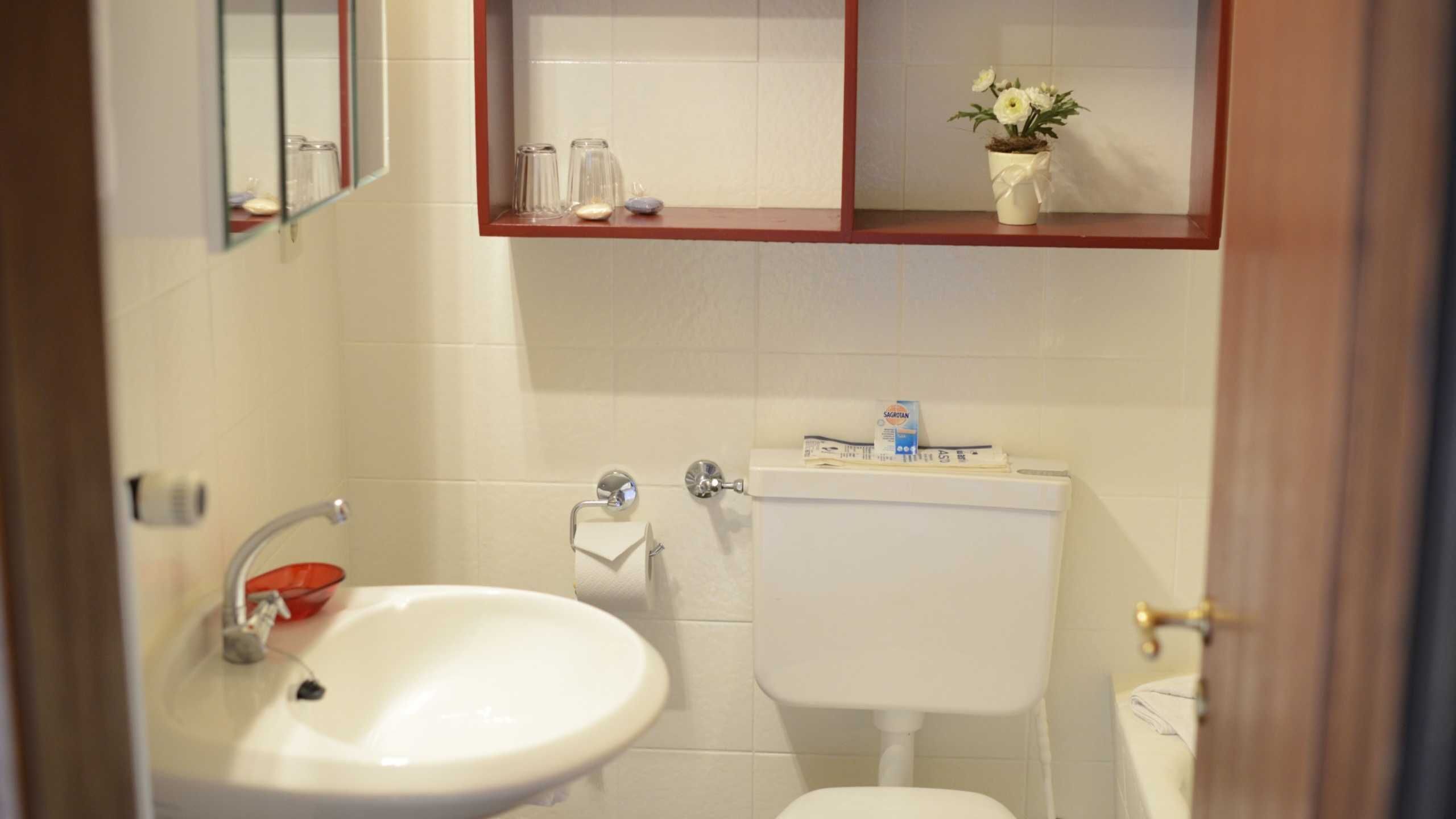 Hair dryer, towels, toilet paper