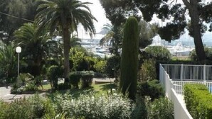 Un jardin avec des palmiers et une clôture blanche.