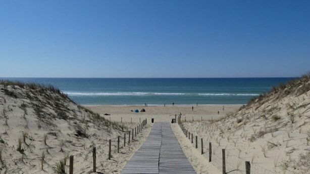 Ein Strand mit einer Holzpromenade, die zum Meer führt, gesäumt von Dünen und einem klaren Himmel.