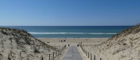 Playa en los alrededores