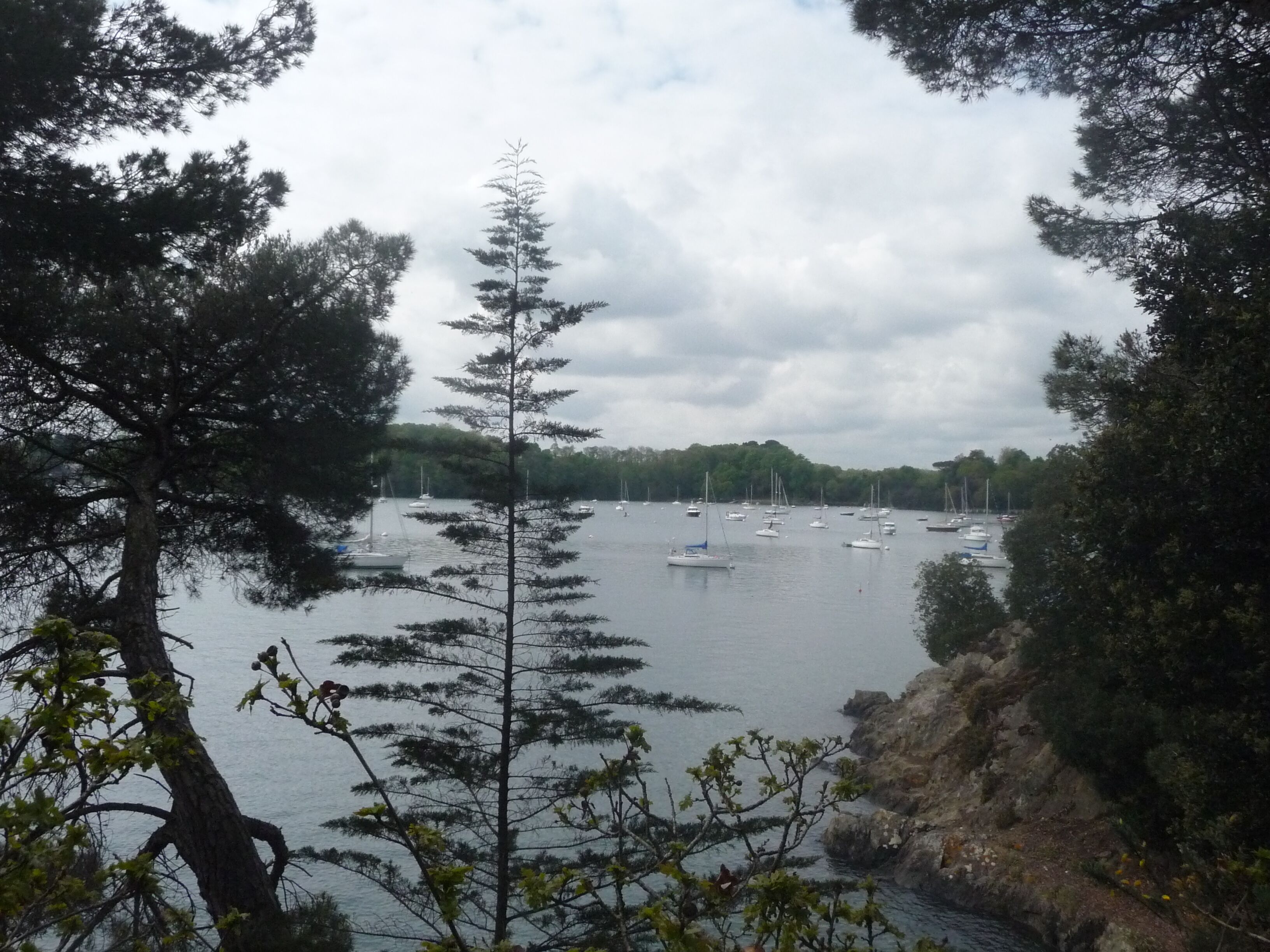 Een kustgezicht met boten op rustig water, omgeven door dichte bomen en rotsachtig terrein.