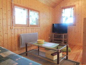 TV, DVD player, ping pong, stereo