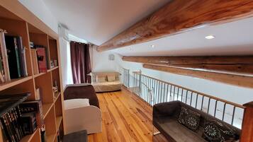 Télévision, lecteur de DVD, table de tennis de table, livres