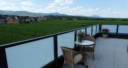 BENNWIHR en ALSACE, entre RIQUEWIHR, KAYSERSBERG et COLMAR
đșPROMOTION MAI-JUIN