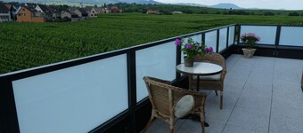 BENNWIHR en ALSACE, entre RIQUEWIHR, KAYSERSBERG et COLMAR
🔺PROMOTION MAI-JUIN