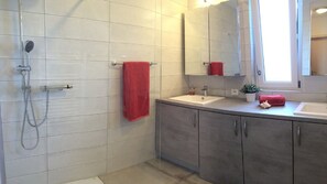 Ducha, secador de pelo y papel higiénico