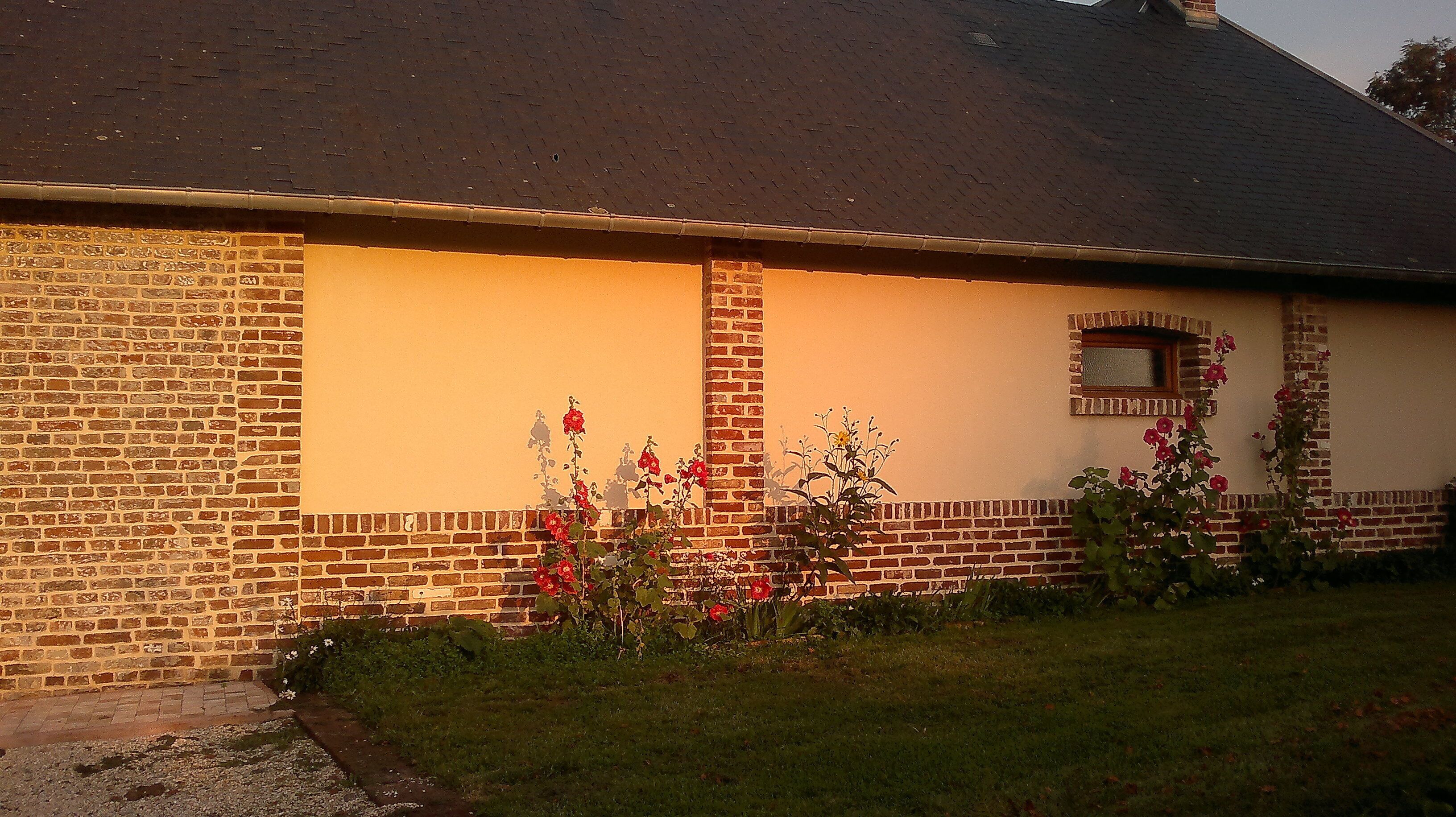 A brick building with a window and a flower box.
