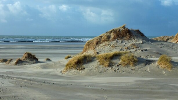 Une plage avec des dunes de sable et l’océan en arrière-plan.