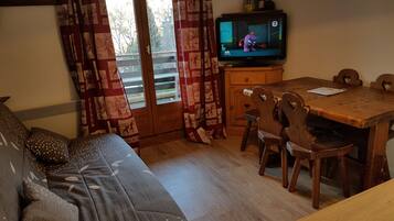 Televisión y libros