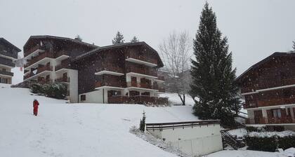 Beau T2 tout confort prĂšs des pistes de ski