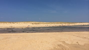 Ranta lÀhistöllÀ, aurinkotuoleja