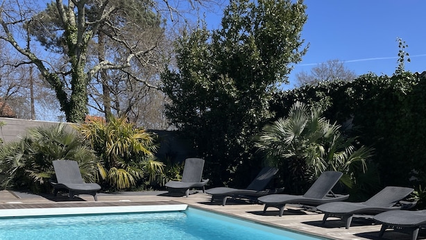 Una piscina rectangular con borde de madera, rodeada de sillones de descanso y plantas tropicales.