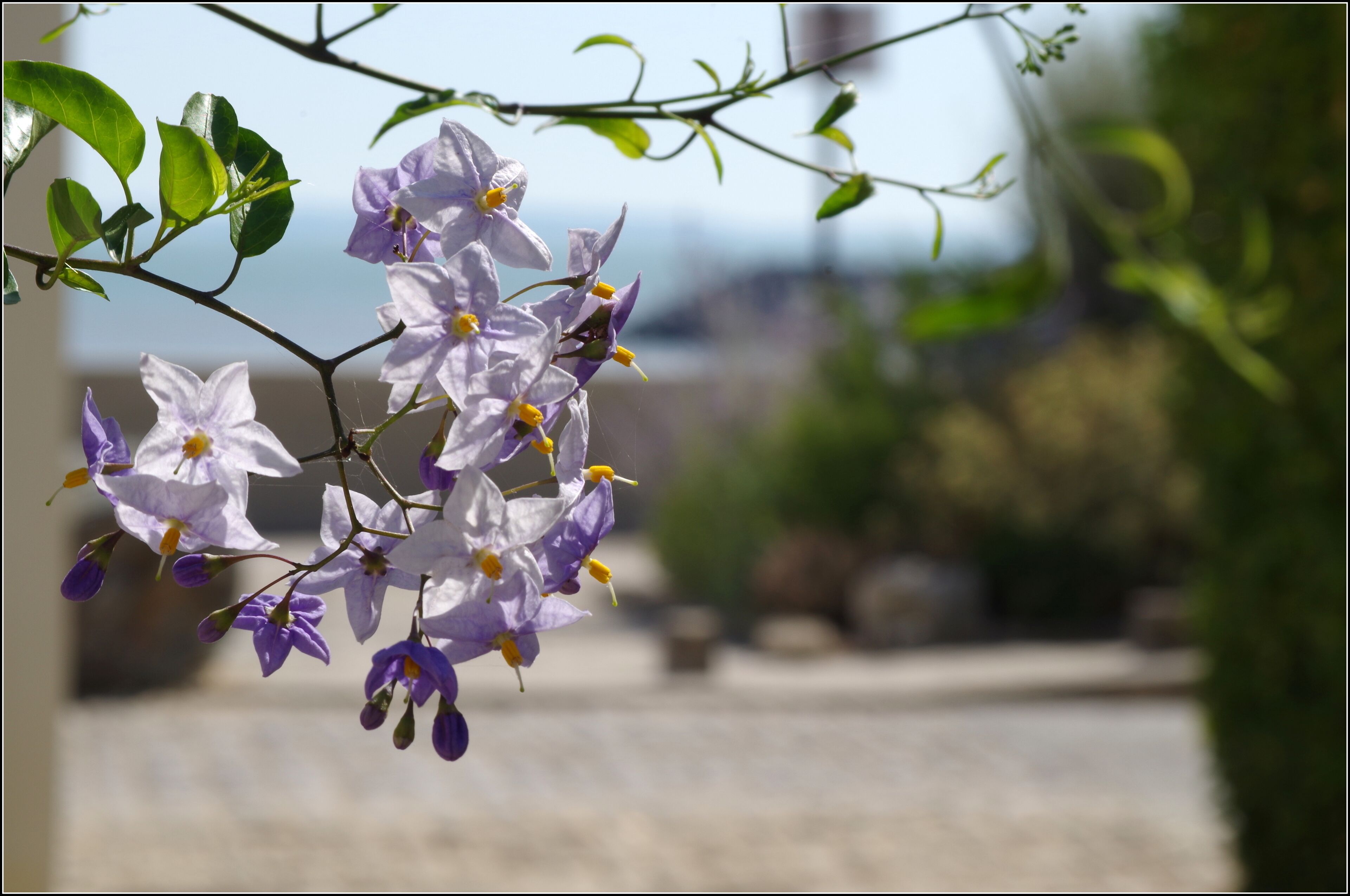 House 20 m From the Sea, beach  