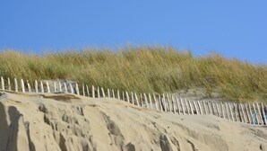 Une plage de sable bordée d’une clôture blanche et d’une herbe haute.